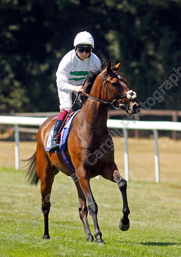 Zaakara-0001 
 ZAAKARA (Cieren Fallon)
Salisbury 11 Aug 2022 - Pic Steven Cargill / Racingfotos.com