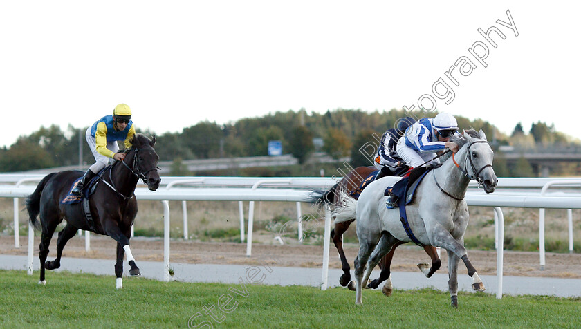 Thundering-Blue-0005 
 THUNDERING BLUE (Fran Berry) wins The Stockholm Cup International
Bro Park, Sweden 23 Sep 2018 - Pic Steven Cargill / Racingfotos.com