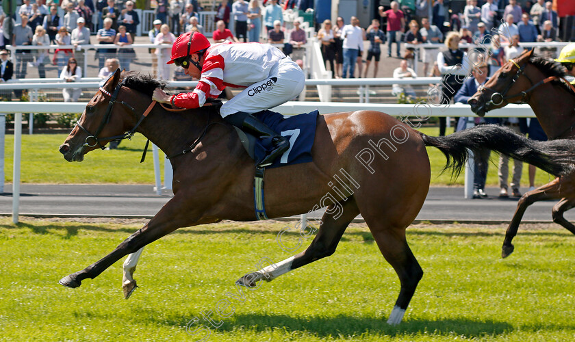 White-Umbrella-0005 
 WHITE UMBRELLA (Kieran Shoemark) wins The Join Our Bet Club At Vickers Bet Novice Stakes
Chepstow 27 May 2022 - Pic Steven Cargill / Racingfotos.com