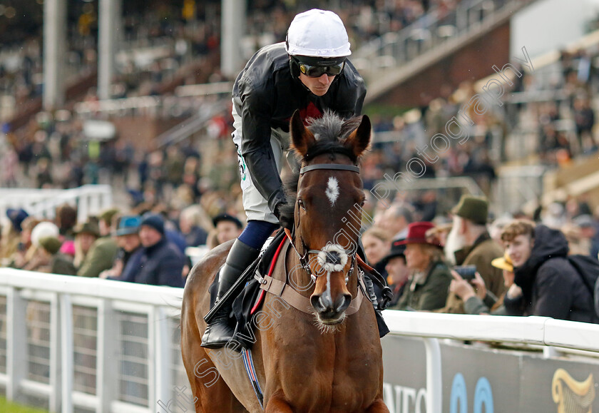 Hymac-0001 
 HYMAC (Bryan Carver)
Cheltenham 17 Nov 2024 - Pic Steven Cargill / Racingfotos.com