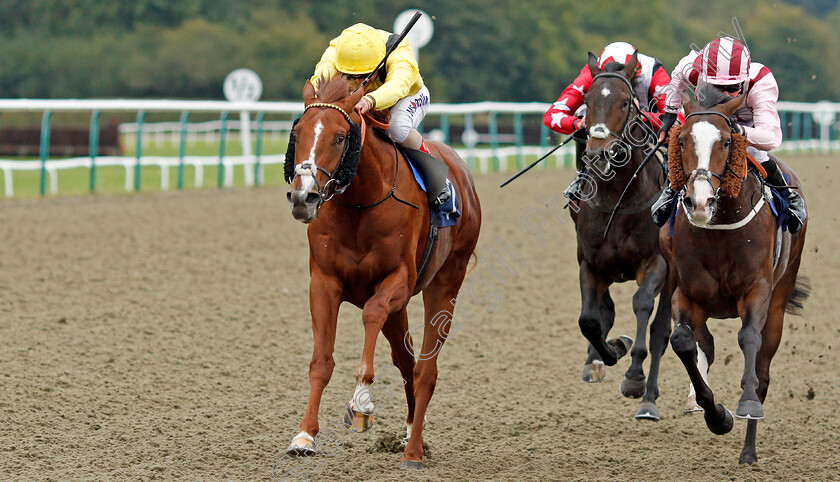 Qaaddim-0006 
 QAADDIM (left, Andrea Atzeni) beats PITCHCOMBE (right) in The Shard Solutions And Origin Nursery
Lingfield 3 Oct 2019 - Pic Steven Cargill / Racingfotos.com