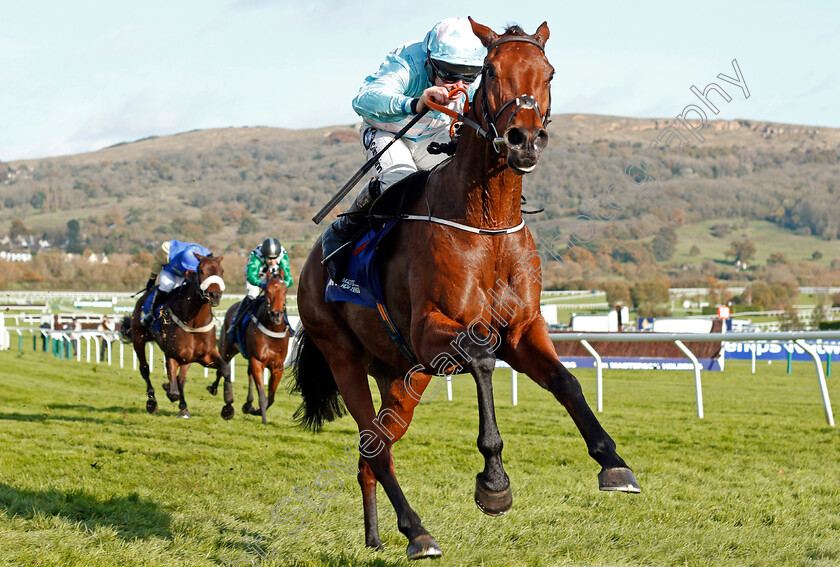 Twobeelucky-0008 
 TWOBEELUCKY (A E Lynch) wins The Masterson Holdings Hurdle Cheltenham 28 Oct 2017 - Pic Steven Cargill / Racingfotos.com