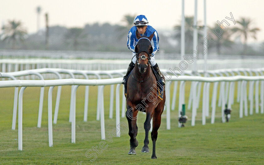 Pivoine-0002 
 PIVOINE (Silvestre De Sousa)
Bahrain 22 Nov 2019 - Pic Steven Cargill / Racingfotos.com