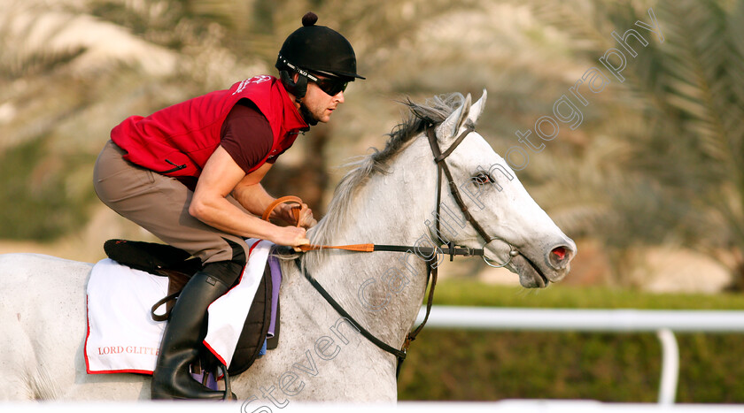 Lord-Glitters-0002 
 LORD GLITTERS training for the Bahrain International Trophy
Rashid Equestrian & Horseracing Club, Bahrain, 18 Nov 2020