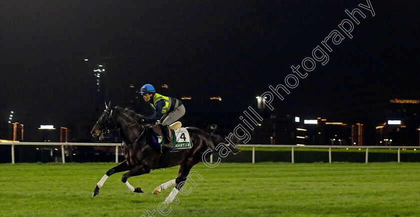 Shahryar-0001 
 SHAHRYAR training for The Sheema Classic 
Meydan Dubai 27 Mar 2024 - Pic Steven Cargill / Racingfotos.com