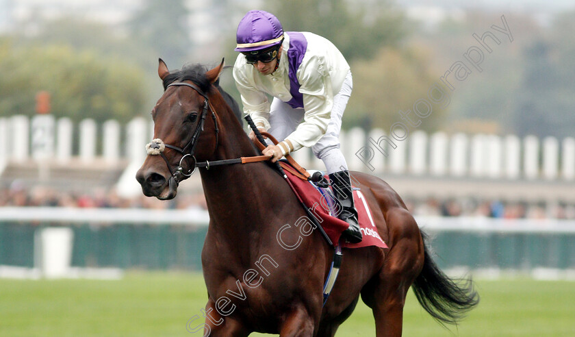 Boitron-0001 
 BOITRON (C Demuro)
Longchamp 7 Oct 2018 - Pic Steven Cargill / Racingfotos.com