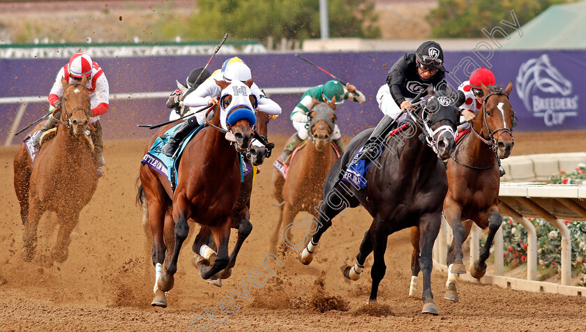 Battle-Of-Midway-0007 
 BATTLE OF MIDWAY (left, Flavian Prat) beats SHARP AZTECA (right) in The Breeders' Cup Dirt Mile, Del Mar USA 3 Nov 2017 - Pic Steven Cargill / Racingfotos.com