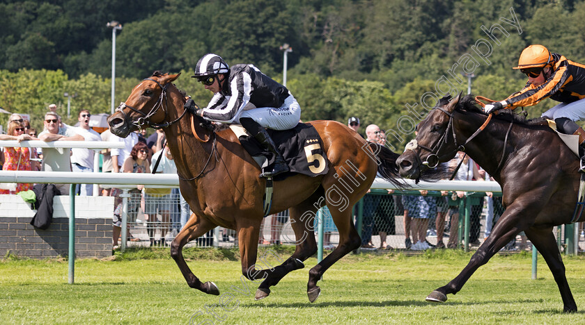 Dance-And-Romance-0003 
 DANCE AND ROMANCE (James Doyle) wins The Rhino.bet Proudly Sponsor Josephine Gordon Handicap
Nottingham 19 Jul 2024 - Pic Steven Cargill / Megan Dent / Racingfotos.com