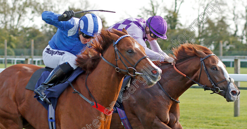 Raasel-0005 
 RAASEL (left, Jim Crowley) beats AMARILLO STAR (right) in The Starsports.bet Novice Stakes
Bath 16 Oct 2019 - Pic Steven Cargill / Racingfotos.com