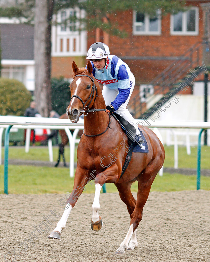 Dublin-Pharaoh-0001 
 DUBLIN PHARAOH (Andrea Atzeni) winner of The Ladbrokes Home Of The Odds Boost Novice Stakes
Lingfield 15 Feb 2020 - Pic Steven Cargill / Racingfotos.com