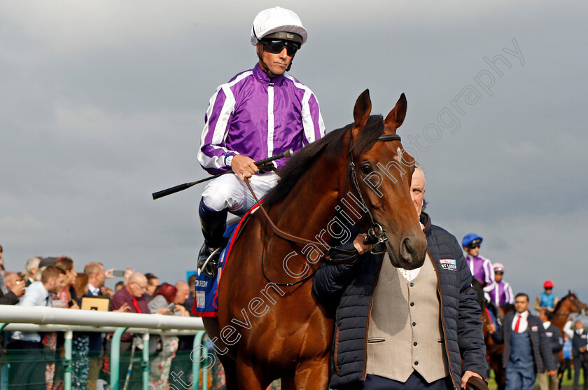 Tower-Of-London-0001 
 TOWER OF LONDON (Jim Crowley)
Doncaster 16 Sep 2023 - Pic Steven Cargill / Racingfotos.com