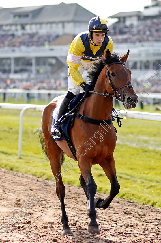 Shantou-Rock-0001 
 SHANTOU ROCK (Harry Skelton) Aintree 14 Apr 2018 - Pic Steven Cargill / Racingfotos.com