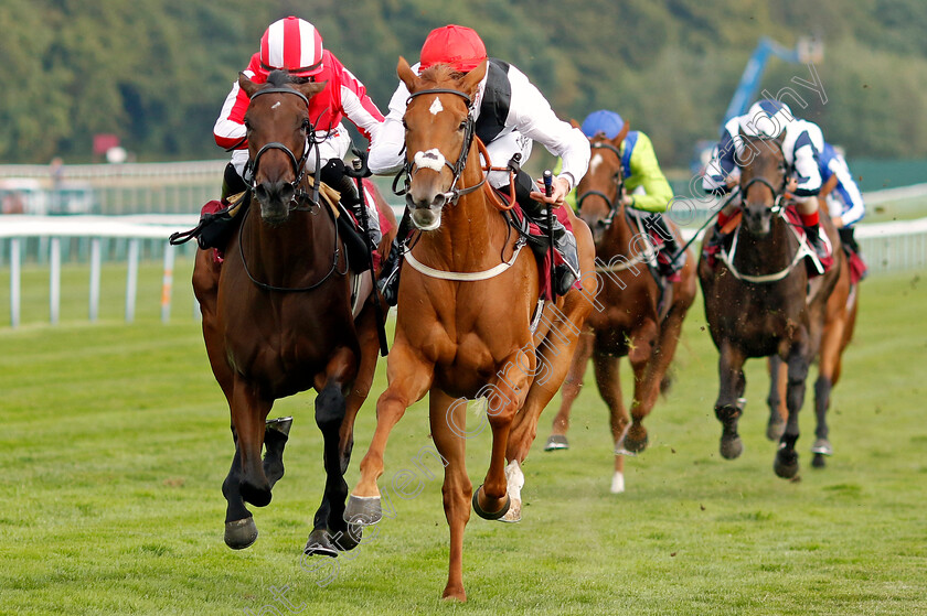 Leitzel-0006 
 LEITZEL (centre, Daniel Tudhope) beats DOUBLE MARCH (left) in The British Stallion Studs EBF Fillies Novice Stakes
Haydock 2 Sep 2022 - Pic Steven Cargill / Racingfotos.com