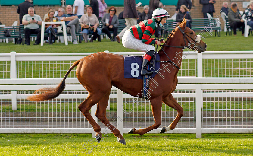 Clipsham-Gold 
 CLIPSHAM GOLD (Josephine Gordon)
Yarmouth 19 Oct 2021 - Pic Steven Cargill / Racingfotos.com