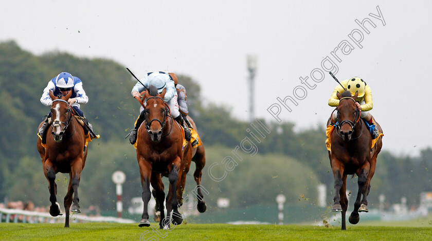 Emaraaty-Ana-0005 
 EMARAATY ANA (right, Andrea Atzeni) beats STARMAN (centre) and CHIL CHIL (left) in The Betfair Sprint Cup 
Haydock 4 Sep 2021 - Pic Steven Cargill / Racingfotos.com