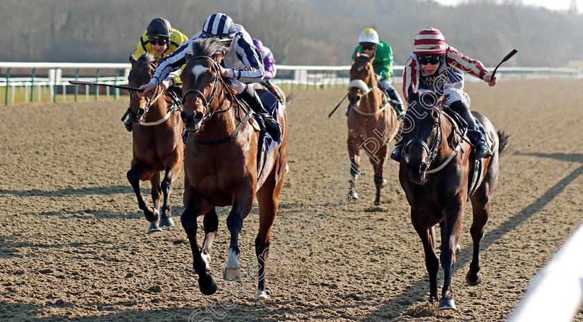 Grandfather-Tom-0002 
 GRANDFATHER TOM (left, Eoin Walsh) beats MEERPAT (right) in The 32Red Novice Stakes Lingfield 24 Feb 2018 - Pic Steven Cargill / Racingfotos.com