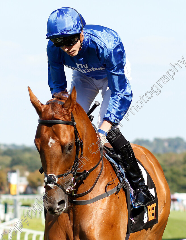 Laugh-Aloud-0001 
 LAUGH ALOUD (James Doyle)
Sandown 1 Sep 2018 - PIc Steven Cargill / Racingfotos.com