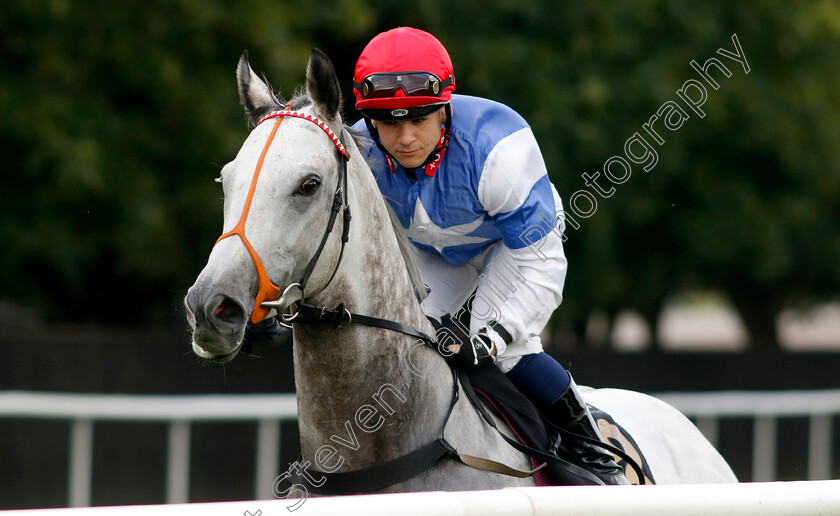 Blue-Flame-0001 
 BLUE FLAME (Marco Ghiani)
Newmarket 4 Aug 2023 - Pic Steven Cargill / Racingfotos.com