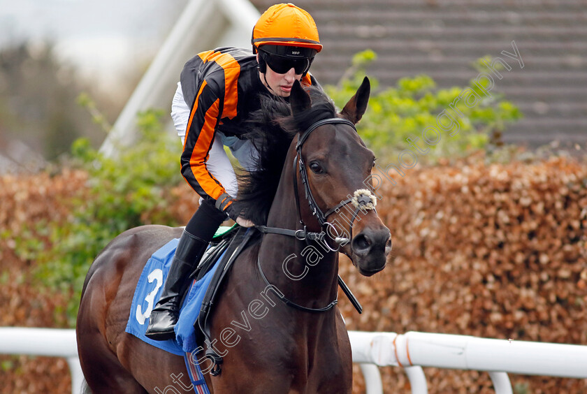 Asimov-0002 
 ASIMOV (Ross Coakley)
Kempton 3 Apr 2024 - Pic Steven Cargill / Racingfotos.com