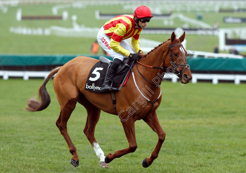 Jarveys-Plate-0002 
 JARVEYS PLATE (Paddy Brennan) winner of The Ballymore Novices Hurdle
Cheltenham 1 Jan 2019 - Pic Steven Cargill / Racingfotos.com