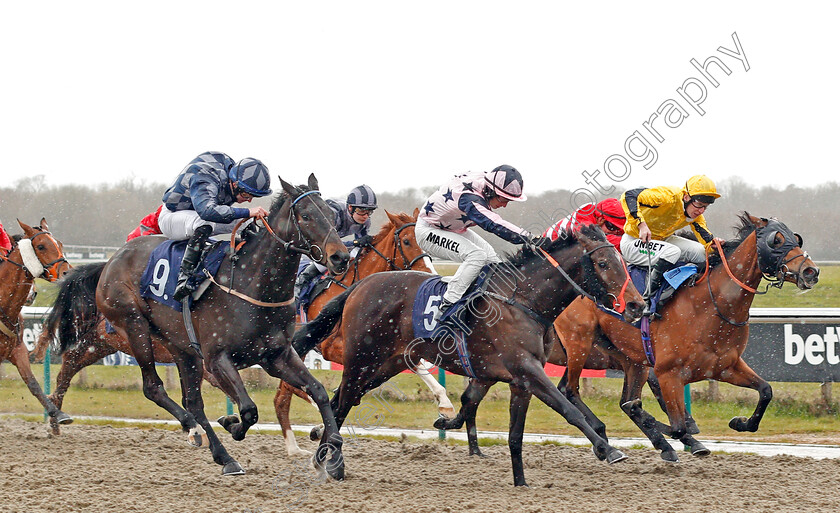 Saracen-Star-0002 
 SARACEN STAR (centre, Tom Marquand) beats CRITIQUE (right) and DAME DENALI (left) in The Ladbrokes Handicap
Lingfield 4 Mar 202 - Pic Steven Cargill / Racingfotos.com