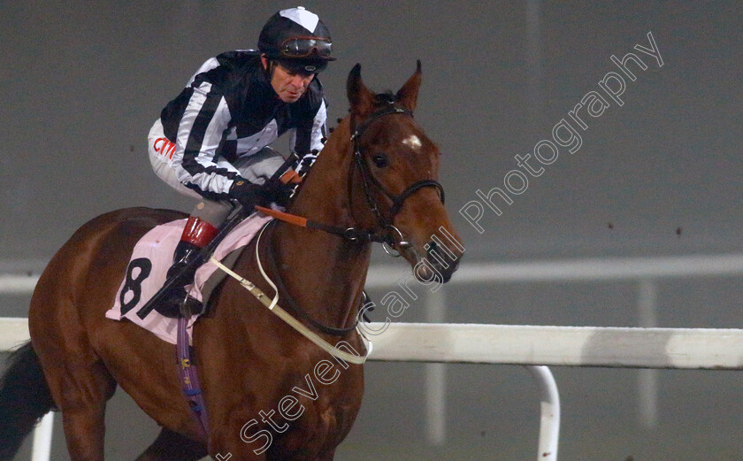 Hadrianus-0004 
 HADRIANUS (Franny Norton) winner of The Unibet Maiden Stakes
Kempton 16 Dec 2022 - pic Steven Cargill / Racingfotos.com