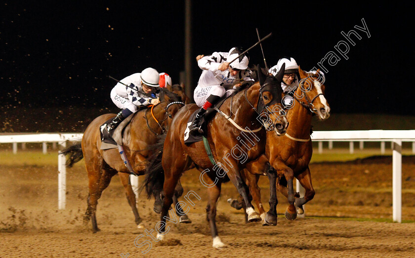 Aleef-0001 
 ALEEF (Adam Kirby) wins The Bet totetrifecta At betfred.com Handicap Chelmsford 21 Dec 2017 - Pic Steven Cargill / Racingfotos.com