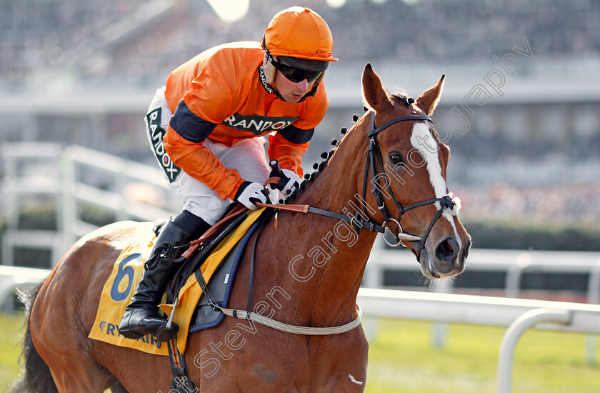 Sam-Spinner-0001 
 SAM SPINNER (Joe Colliver) Aintree 14 Apr 2018 - Pic Steven Cargill / Racingfotos.com