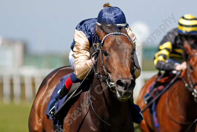 Manettino-0009 
 MANETTINO (David Egan) wins The British Stallion Studs EBF Maiden Stakes
Yarmouth 9 Jun 2021 - Pic Steven Cargill / Racingfotos.com