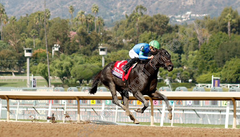 Goodnight-Olive-0004 
 GOODNIGHT OLIVE (Irad Ortiz) wins The Breeders' Cup Filly & Mare Sprint
Santa Anita 4 Nov 2023 - Pic Steven Cargill / Racingfotos.com