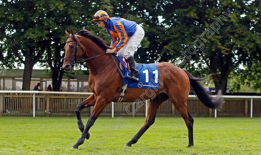 River-Tiber-0001 
 RIVER TIBER (Ryan Moore)
Newmarket 13 Jul 2024 - Pic Steven Cargill / Racingfotos.com