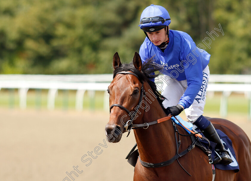 Mokhles-0002 
 MOKHLES (Oisin Murphy)
Lingfield 25 Jul 2018 - Pic Steven Cargill / Racingfotos.com