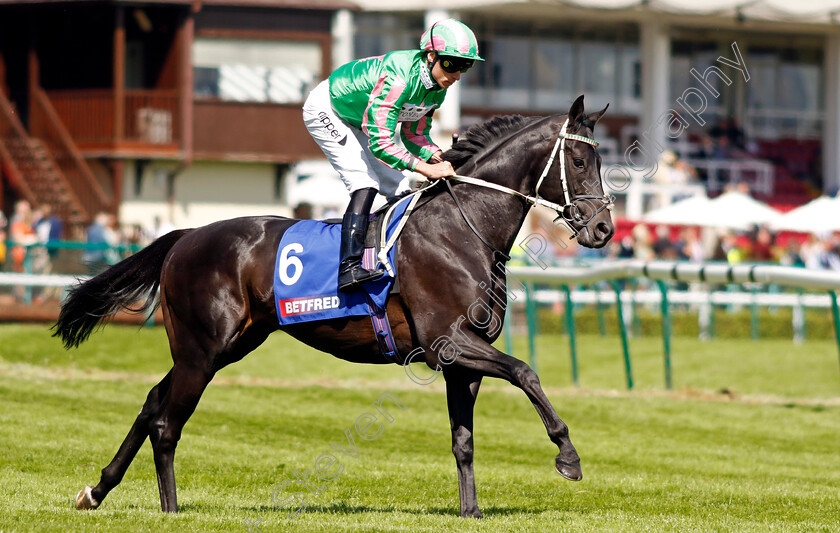 Pogo-0003 
 POGO (Kieran Shoemark) winner of The Betfred John Of Gaunt Stakes
Haydock 28 May 2022 - Pic Steven Cargill / Racingfotos.com