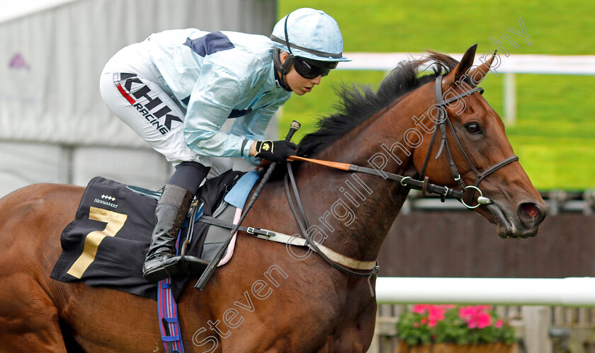 Reina-Del-Mar-0002 
 REINA DEL MAR (Saffie Osborne) wins The Turners Handicap
Newmarket 5 Aug 2023 - Pic Steven Cargill / Racingfotos.com