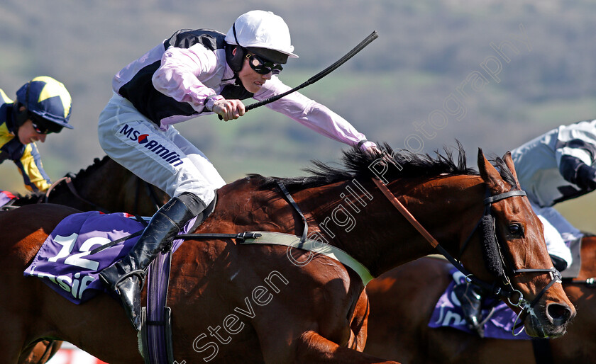 Traffic-Fluide-0002 
 TRAFFIC FLUIDE (Joshua Moore) wins The Barchester Healthcare Silver Trophy Chase Cheltenham 18 Apr 2018 - Pic Steven Cargill / Racingfotos.com