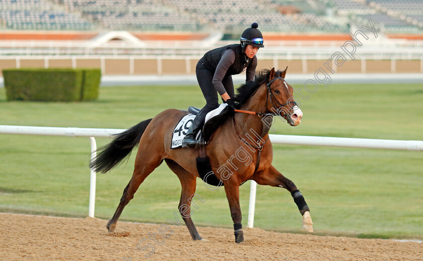 Magical-Morning-0003 
 MAGICAL MORNING training at Meydan, Dubai
2 Feb 2023 - Pic Steven Cargill / Racingfotos.com