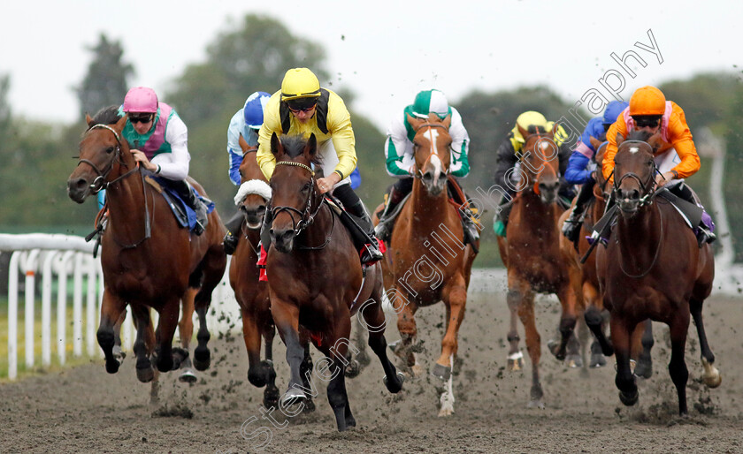 Yaroogh-0003 
 YAROOGH (Tom Marquand) wins The Unibet British Stallion Studs EBF Novice Stakes
Kempton 7 Aug 2024 - Pic Steven Cargill / Racingfotos.com