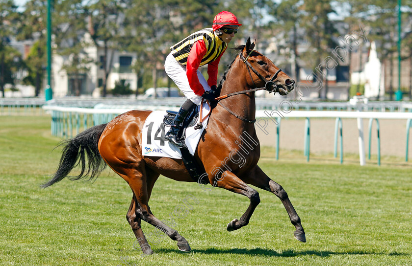 Miramar-0001 
 MIRAMAR (R Thomas)
Deauville 7 Aug 2022 - Pic Steven Cargill / Racingfotos.com