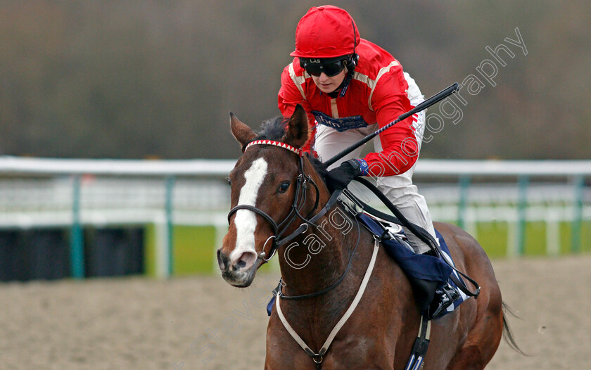 Miss-Elsa-0005 
 MISS ELSA (Georgia Dobie) wins The Betway Handicap
Lingfield 11 Dec 2019 - Pic Steven Cargill / Racingfotos.com