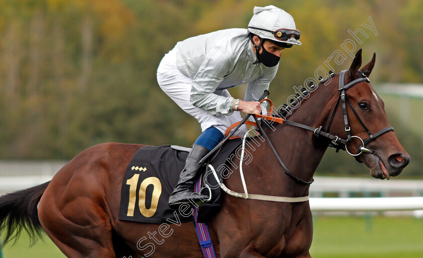 Wootton-Creek-0002 
 WOOTTON CREEK (William Buick)
Nottingham 14 Oct 2020 - Pic Steven Cargill / Racingfotos.com