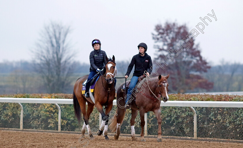 Malathaat-0001 
 MALATHAAT training for the Breeders' Cup Distaff
Keeneland USA 1 Nov 2022 - Pic Steven Cargill / Racingfotos.com