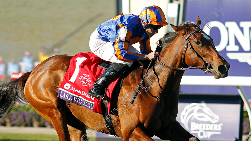 Lake-Victoria-0002 
 LAKE VICTORIA (Ryan Moore) wins the Breeders' Cup Juvenile Fillies Turf
Del Mar USA 1 Nov 2024 - Pic Steven Cargill / Racingfotos.com