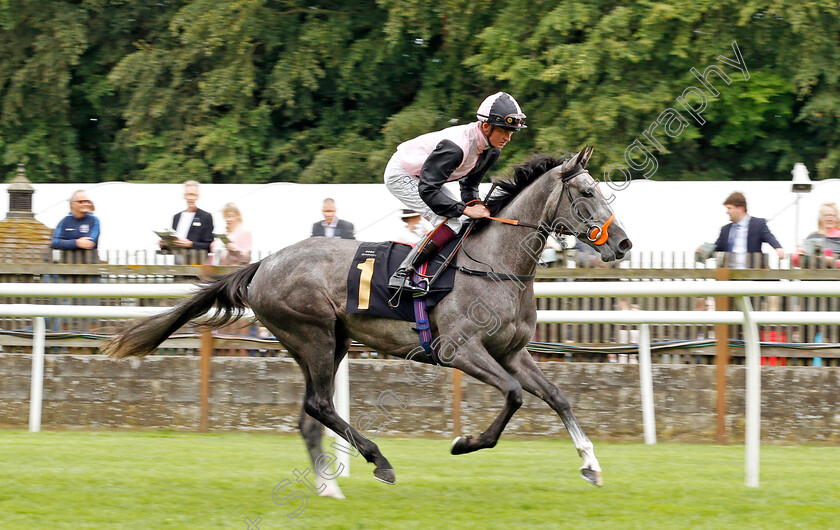 Cry-Fiction-0001 
 CRY FICTION (Rob Hornby)
Newmarket 1 Jul 2023 - Pic Steven Cargill / Racingfotos.com