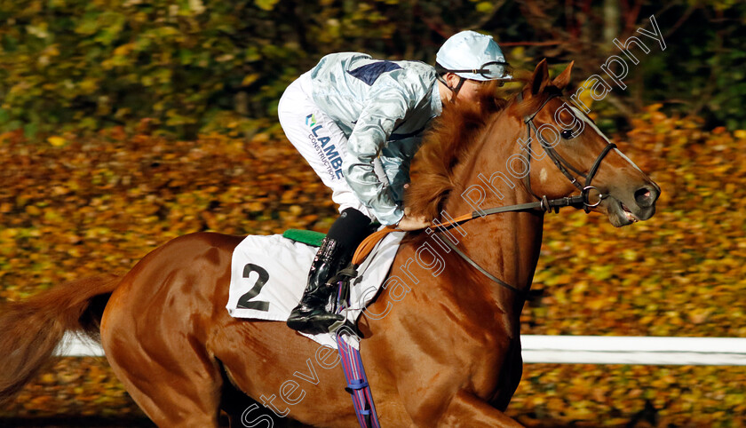 Amsterdam-0001 
 AMSTERDAM (Billy Loughnane)
Kempton 15 Nov 2023 - Pic Steven Cargill / Racingfotos.com