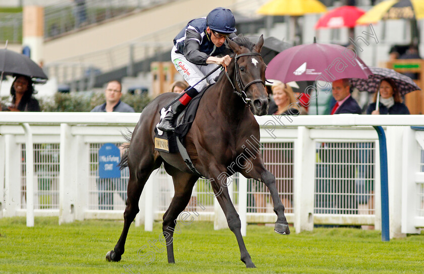 Odyssa-0006 
 ODYSSA (Shane Kelly) wins The Twinings Novice Auction Stakes Div2 Ascot 8 Sep 2017 - Pic Steven Cargill / Racingfotos.com