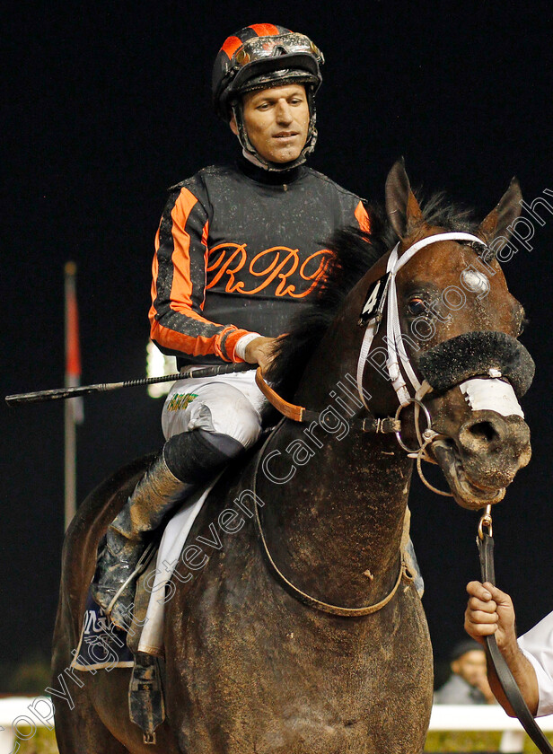 Kimbear-0008 
 KIMBEAR (Pat Dobbs) after The Al Maktoum Challenge (Round 1)
Meydan 9 Jan 2020 - Pic Steven Cargill / Racingfotos.com