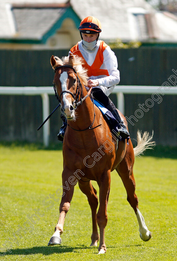 Music-Banner-0001 
 MUSIC BANNER (Daniel Muscutt)
Yarmouth 9 Jun 2021 - Pic Steven Cargill / Racingfotos.com