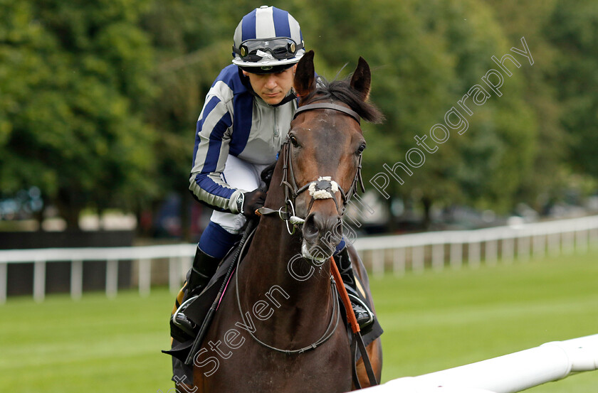 Shield-Wall-0001 
 SHIELD WALL (Marco Ghiani)
Newmarket 28 Jul 2023 - Pic Steven Cargill / Racingfotos.com