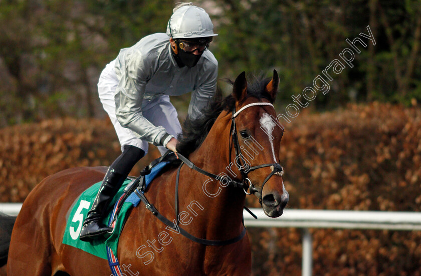 Mount-Marcy-0002 
 MOUNT MARCY (James Doyle)
Kempton 31 Mar 2021 - Pic Steven Cargill / Racingfotos.com