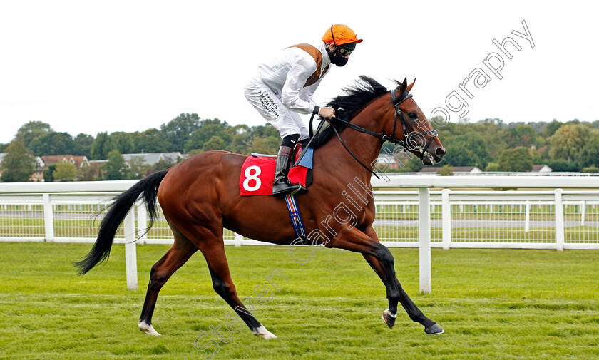 Mithras-0001 
 MITHRAS (Robert Havlin)
Sandown 23 Aug 2020 - Pic Steven Cargill / Racingfotos.com